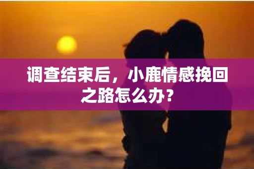 调查结束后，小鹿情感挽回之路怎么办？