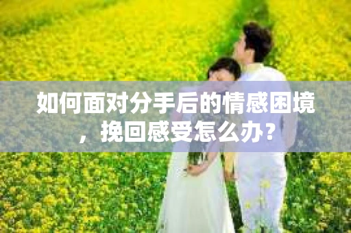 如何面对分手后的情感困境，挽回感受怎么办？
