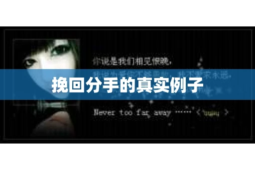 挽回分手的真实例子