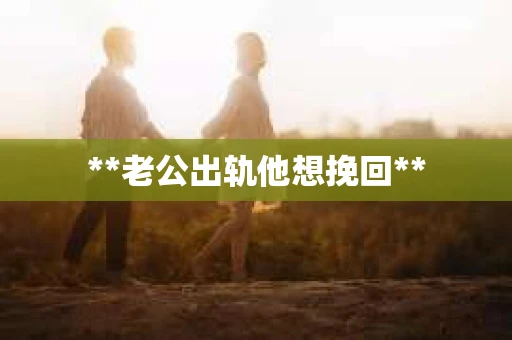 **老公出轨他想挽回**