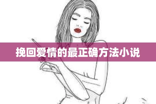 挽回爱情的最正确方法小说