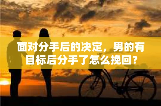面对分手后的决定，男的有目标后分手了怎么挽回？
