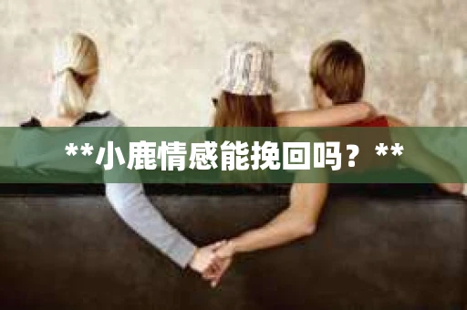 **小鹿情感能挽回吗？**