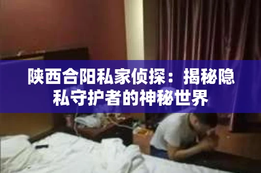 陕西合阳私家侦探：揭秘隐私守护者的神秘世界