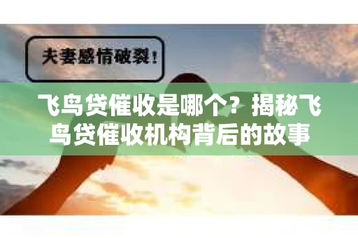 飞鸟贷催收是哪个？揭秘飞鸟贷催收机构背后的故事