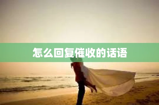 怎么回复催收的话语