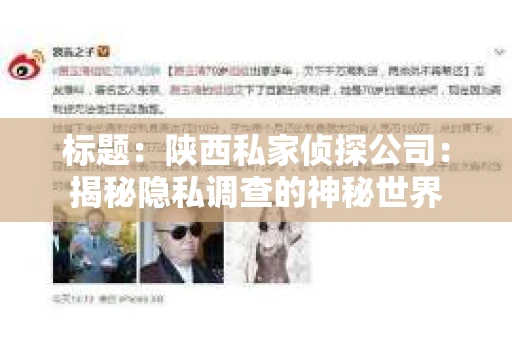 标题：陕西私家侦探公司：揭秘隐私调查的神秘世界