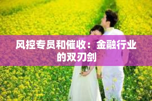 风控专员和催收：金融行业的双刃剑