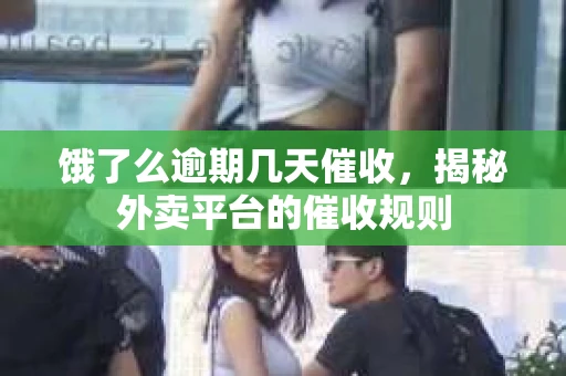 饿了么逾期几天催收，揭秘外卖平台的催收规则