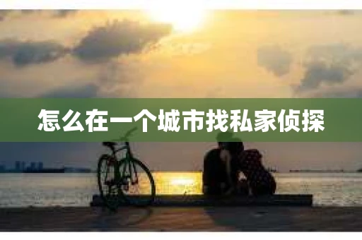 怎么在一个城市找私家侦探