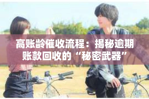 高账龄催收流程：揭秘逾期账款回收的“秘密武器”