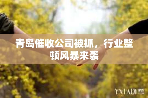 青岛催收公司被抓，行业整顿风暴来袭