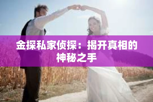 金探私家侦探：揭开真相的神秘之手