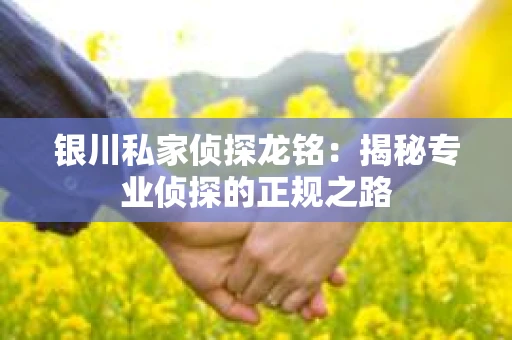 银川私家侦探龙铭：揭秘专业侦探的正规之路