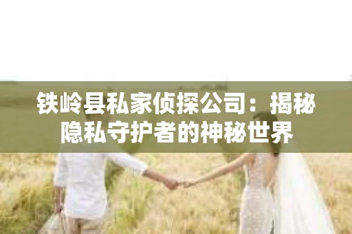 铁岭县私家侦探公司：揭秘隐私守护者的神秘世界
