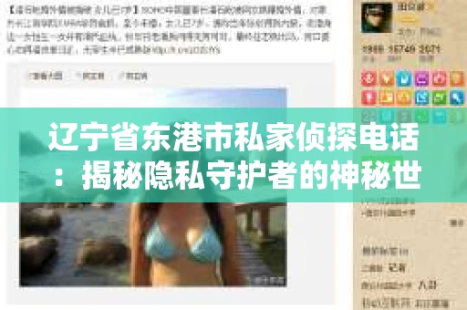 辽宁省东港市私家侦探电话：揭秘隐私守护者的神秘世界