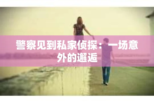 警察见到私家侦探：一场意外的邂逅