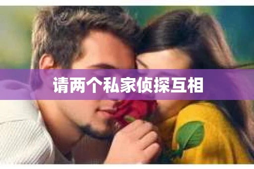 请两个私家侦探互相