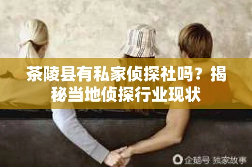 茶陵县有私家侦探社吗？揭秘当地侦探行业现状