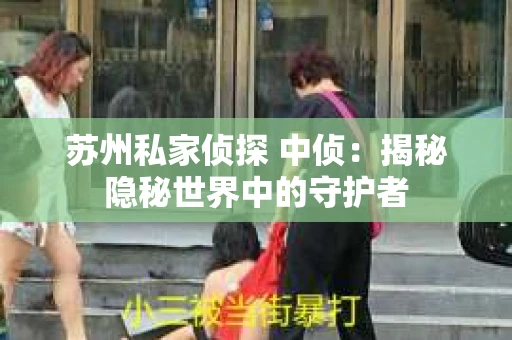 苏州私家侦探 中侦：揭秘隐秘世界中的守护者