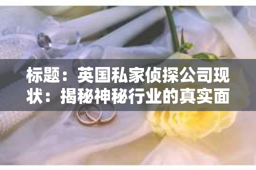 标题：英国私家侦探公司现状：揭秘神秘行业的真实面貌