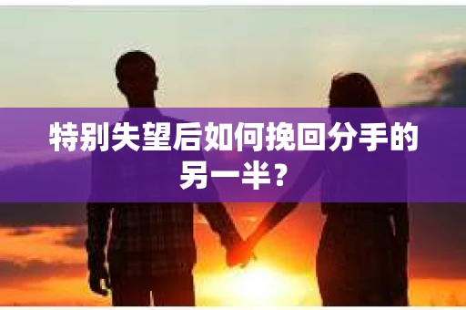 特别失望后如何挽回分手的另一半？