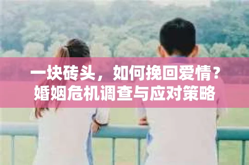 一块砖头，如何挽回爱情？婚姻危机调查与应对策略