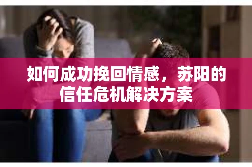 如何成功挽回情感，苏阳的信任危机解决方案