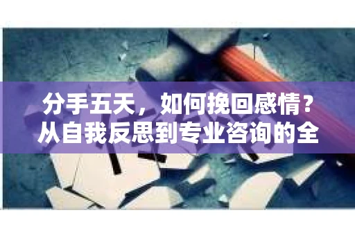 分手五天，如何挽回感情？从自我反思到专业咨询的全面解决方案