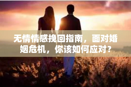 无情情感挽回指南,面对婚姻危机,你该如何应对? 无情情感挽回指南,面对婚姻危机,你该如何应对?