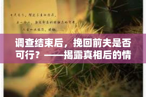 调查结束后，挽回前夫是否可行？——揭露真相后的情感疗愈与人生决策