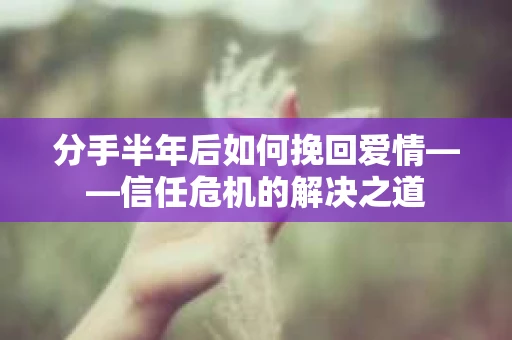 分手半年后如何挽回爱情——信任危机的解决之道